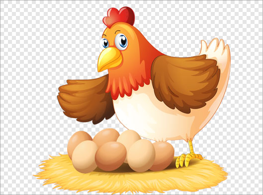 فایل png کارتونی مرغ و تخم مرغ بصورت گرافیکی دوربری شده و ترانسپرنت
