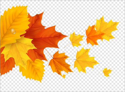 دانلود فایل png دوربری شده و ترانسپرنت برگهای پاییزی زرد و نارنجی