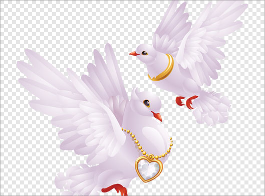 فایل Png دوربری شده و ترانسپرنت کبوترهیا سفید عاشق و حلقه و گردنبند ازدواج (کبوترهای نماد ازدواج)