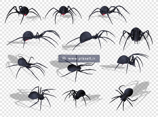 فایل دوربری شده و ترانسپرنت شیطان و عنکبوت های مختلف سیاه با فرمت png