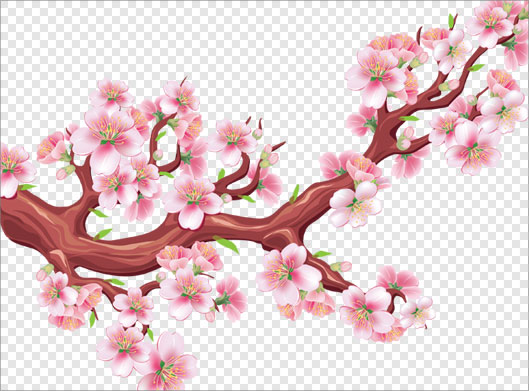 دانلود تصویر دوربری شده و ترانسپرنت شاخه و شکوفه های صورتی بهاری با فرمت png