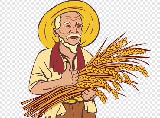 فایل ترانسپرنت دوربری شده پیرمرد کشاورز و خوشه های گندم در دست بصورت کارتونی با فرمت png
