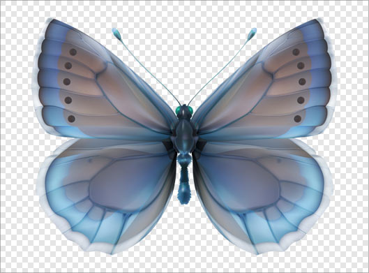 فایل png تصویر دوربری شده پروانه آبی (ترانسپرنت)