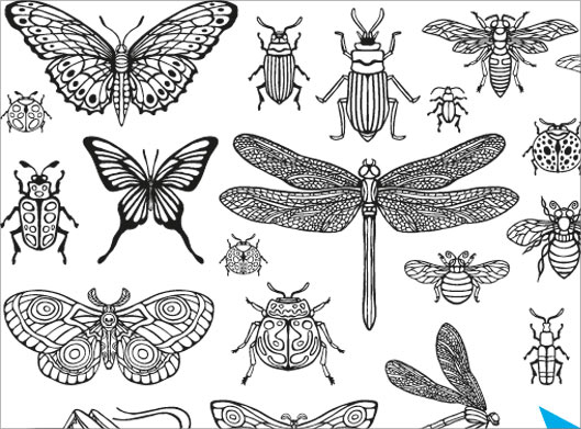 فایل لایه باز وکتور مجموعه حشرات و پروانه و سوسک های مختلف بوصرت خطی