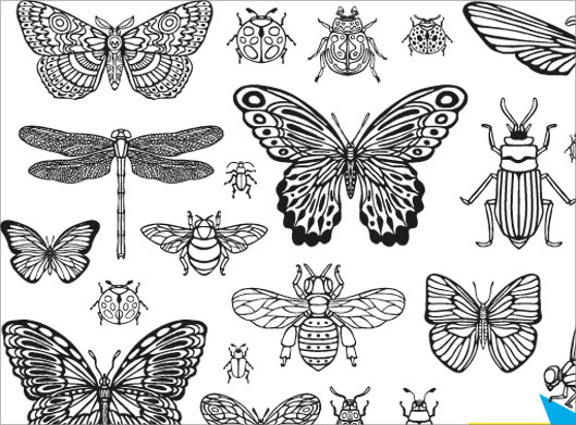 دانلود وکتور لایه باز طرح گرافیکی پروانه ، سوسک و حشرات مختلف