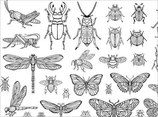 وکتور لایه باز مجموعه حشرات مختلف ، پروانه و سوسک