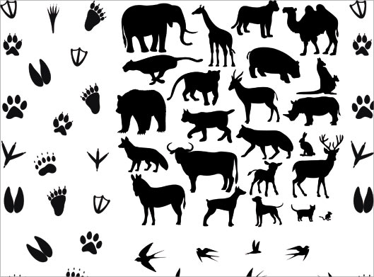 دانلود وکتور مجموعه حیوانات سیاه و سفید و اثر پای آنها