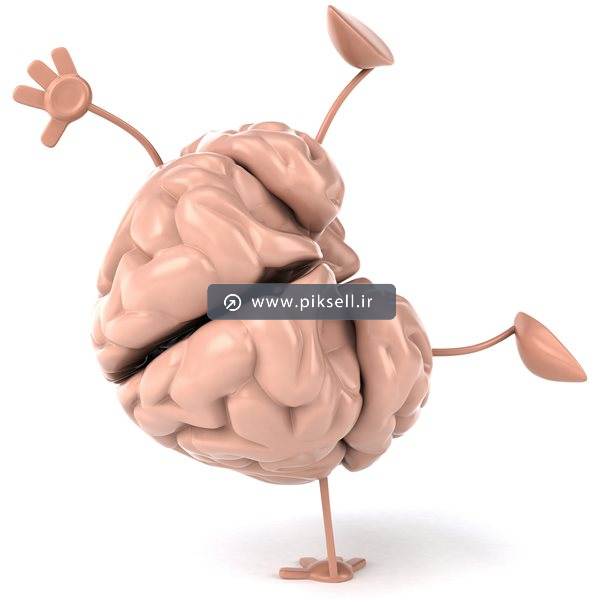 عکس با کیفیت از مغز سه بعدی در حال ورزش کردن