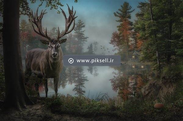 دانلود عکس با کیفیت از نقاشی رنگ روغن جنگل ، برکه و گوزن