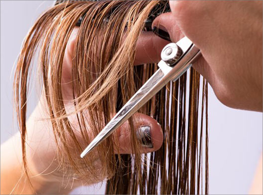 عکس با کیفیت از کوتاه کردن مو در آرایشگاه زنانه و آرایشگر