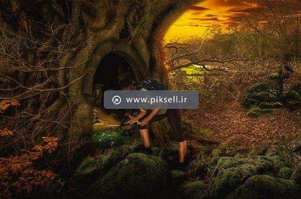 دانلود تصویر نقاشی دیجیتال از سوراخ داخل درخت و جهانگرد