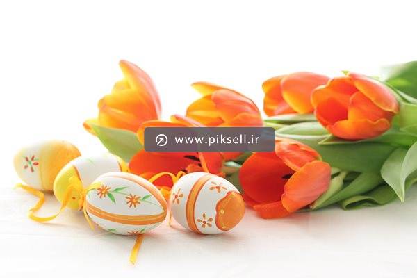 دانلود عکس با کیفیت از گلهای نارنجی شقایق و تخم مرغ های رنگی