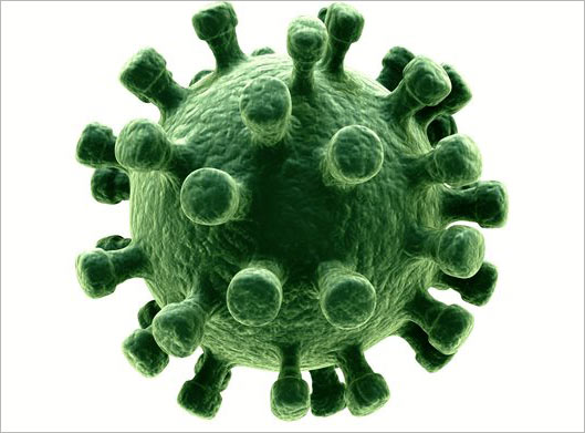 عکس با کیفیت از ویروس و میکروب یا سلول سبز با بکگراندسفید