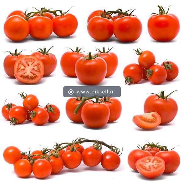 دانلود عکس با کیفیت از حالت های مختلف گوجه فرنگی قرمز با بکگراندسفید