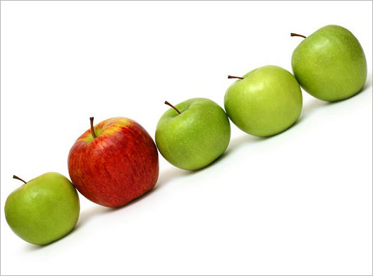 دانلود عکس با کیفیت از سیب قرمز بین سیبهای سبز با بکگراندسفید