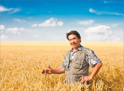عکس با کیفیت از گندمزار و مرد ایستاده بین گندمها