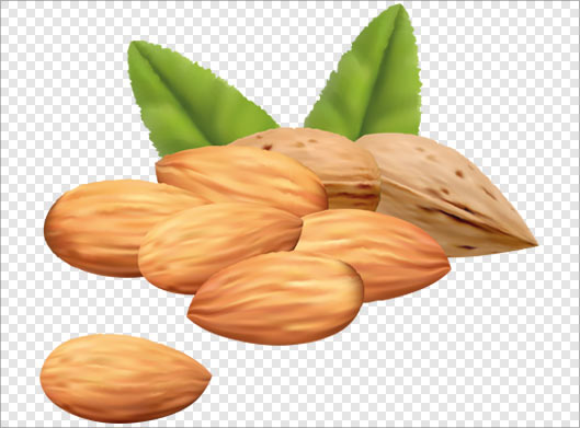 تصویر دوربری شده بادامهای درختی با پسوند png ترانسپرنت