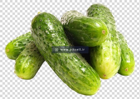 فایل دوربری شده png خیارهای چنبره بدون پس زمینه