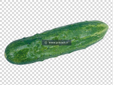 دانلود فایل png دوربری شده خیار بدون زمینه