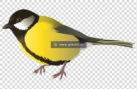 دانلود فایل دوربری شده گنجشک بصورت کارتونی و پسوند png