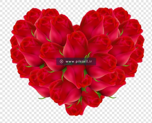 فایل دوربری شده قلب با گل های زیبای رز قرمز
