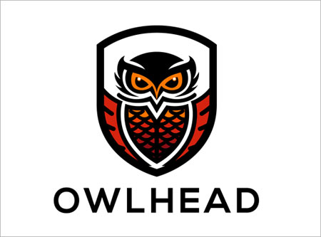 فایل وکتور لوگوی لایه باز با طرح جغد یا owl head