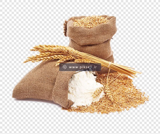 فایل ترانسپرنت دوربری شده کیسه های گندم و خوشه