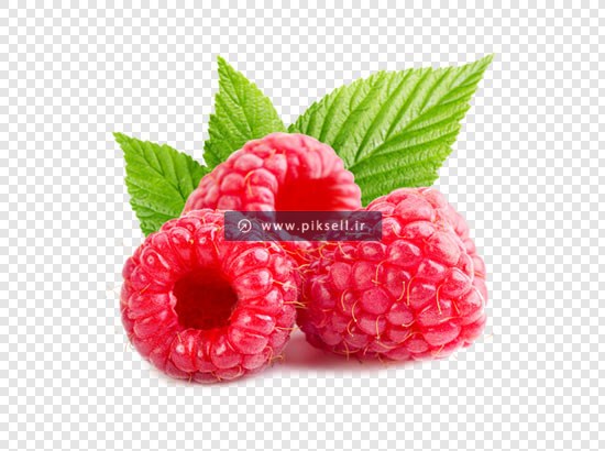 تصویر دوربری شده تمشک با فرمت png و بدون پس زمینه