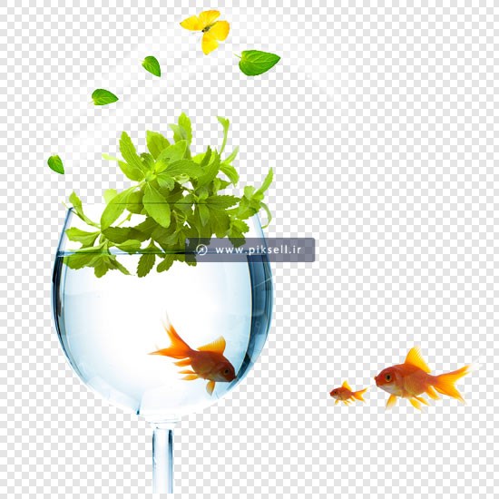 دانلود فایل png (دوربری شده و بدون زمینه) با سبزه و تنگ ماهی