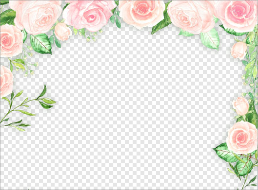 دانلود فایل png قاب و فریم با طرح گل های زیبای رز صورتی