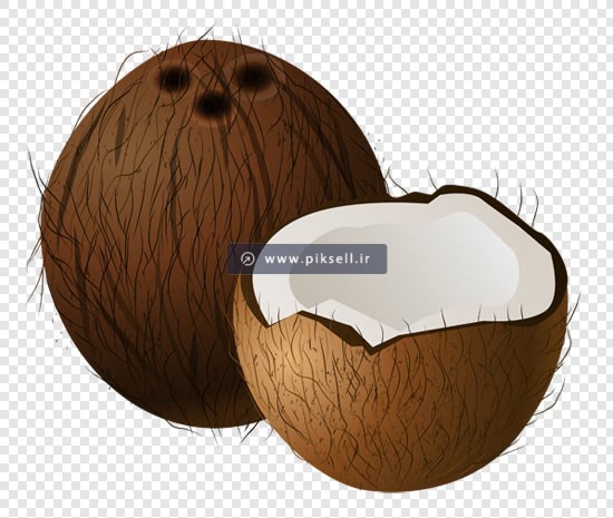 فایل بدون زمینه نارگیل خوراکی با پسوند png