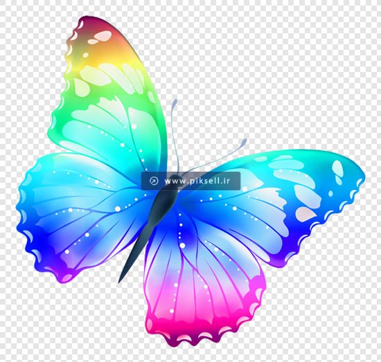 دانلود فایل png و دوربری شده پروانه رنگی