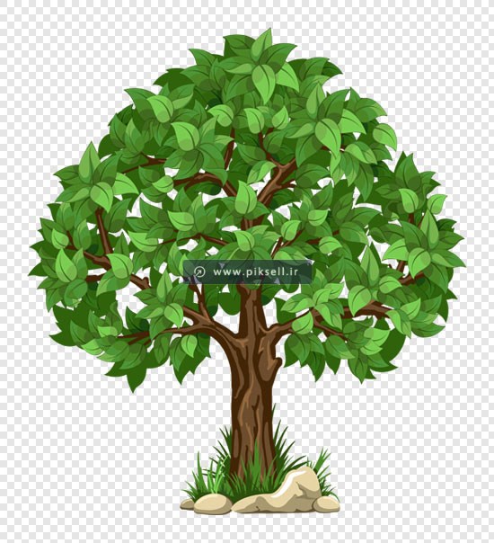 تصویر دوربری شده درخت سبز با فرمت png