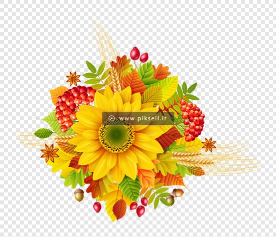 دانلود فایل png دوربری شده گل آفتابگردان و گلهای متنوع
