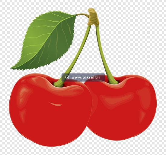 دانلود فایل png گیلاس یا آلبالو بصورت دوربری شده