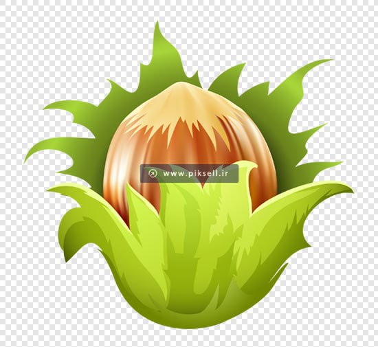 دانلود فایل png فندوق سبز بصورت ترانسپرنت