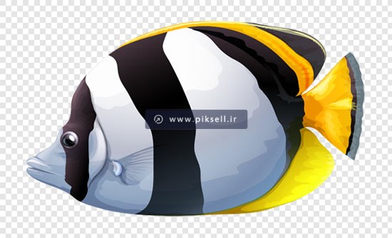فایل png دوربری شده ماهی رنگی بصورت گرافیکی