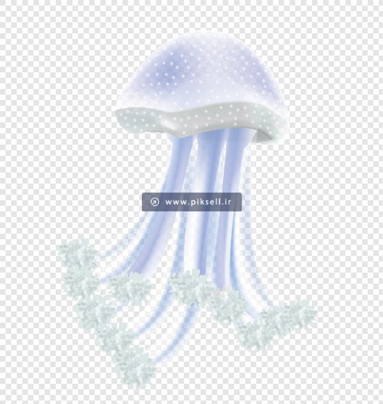 فایل png دوربری شده عروس دریایی بصورت ترانسپرنت