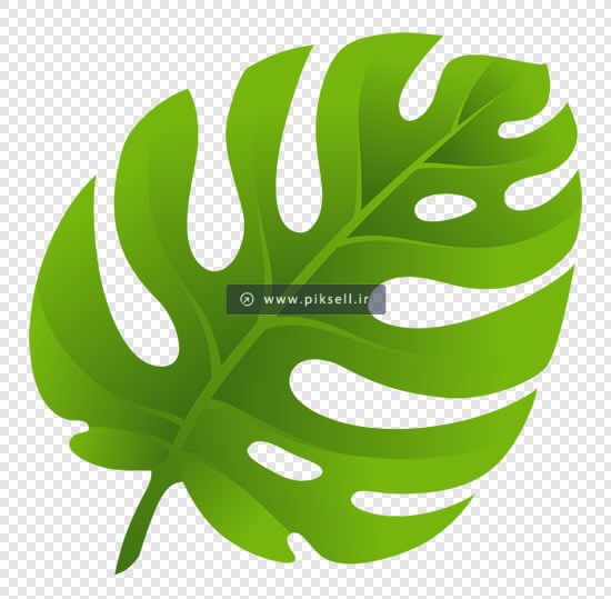 فایل png دوربری شده برگ سبز بصورت ترانسپرنت