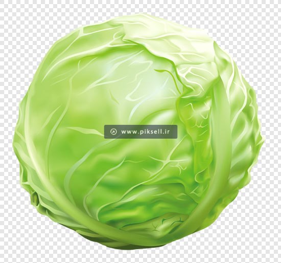 فایل دوربری شده کلم سبز با پسوند png و ترانسپرنت