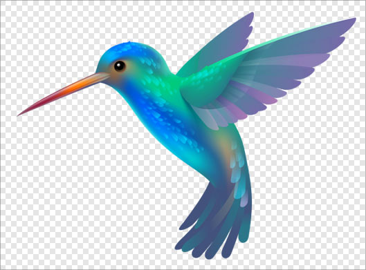 دانلود فایل png مرغ مگس خوار بصورت دوربری شده