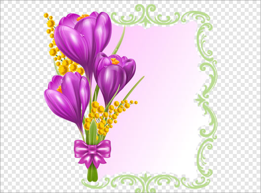 فایل png دوربری شده قاب و فریم با طرح گلهای زعفران بنفش