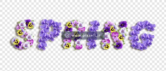 دانلود فایل png دوربری شده کلمه Spring با طرح گلهای بهاری