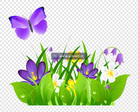 فایل دوربری شده دسته گل و پروانه با پسوند png