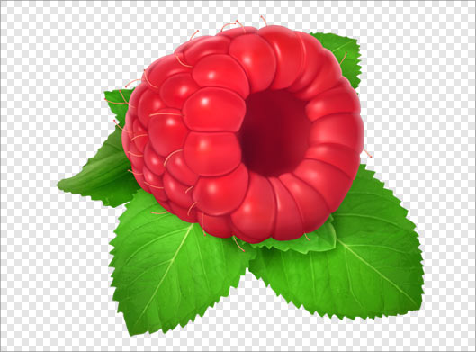 تصویر دوربری شده تمشک با پسوند png