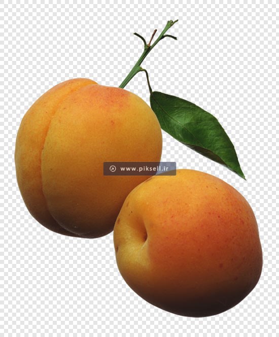 دانلود فایل png هلو بصورت دوربری شده و ترانسپرنت