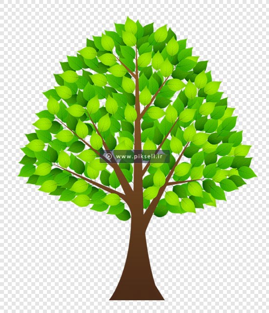 فایل ترانسپرنت دوربری شده درخت سبز با فرمت png