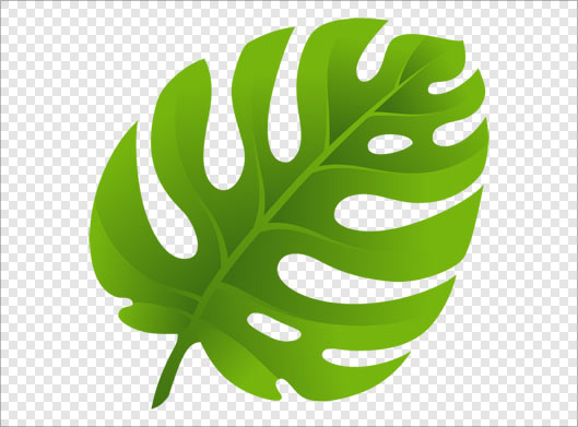 فایل png دوربری شده برگ سبز بصورت ترانسپرنت
