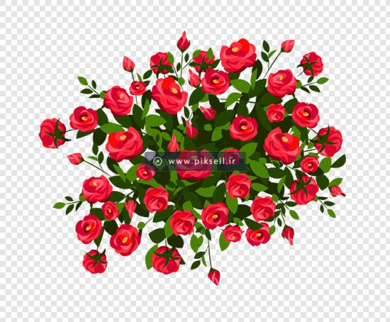 دانلود فایل png دوربری شده دسته گلهای زیبای رز قرمز