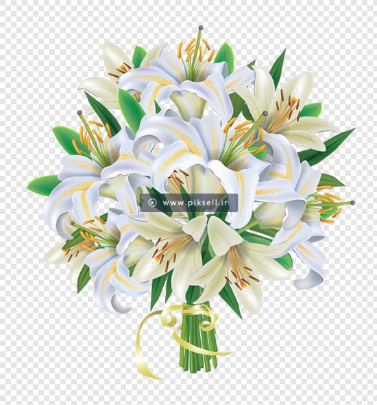 فایل png دسته گل های زیبای لیلیوم سفید